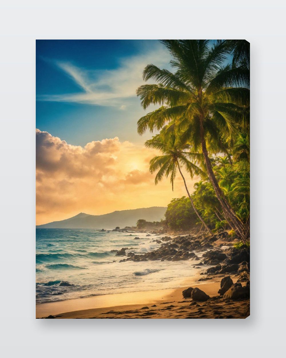 Studio fond couleur — vue 4