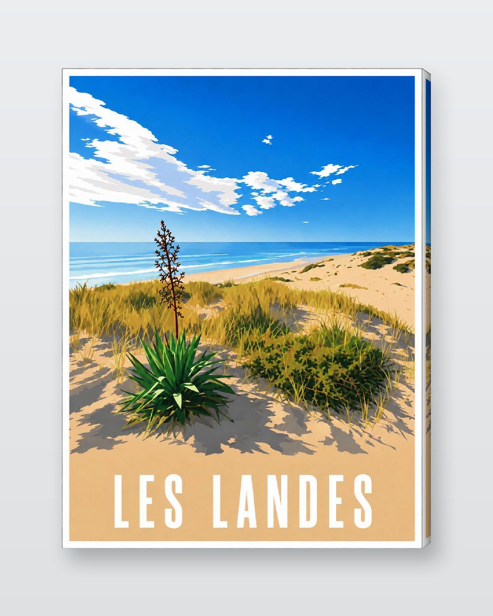 Studio fond couleur — vue 4