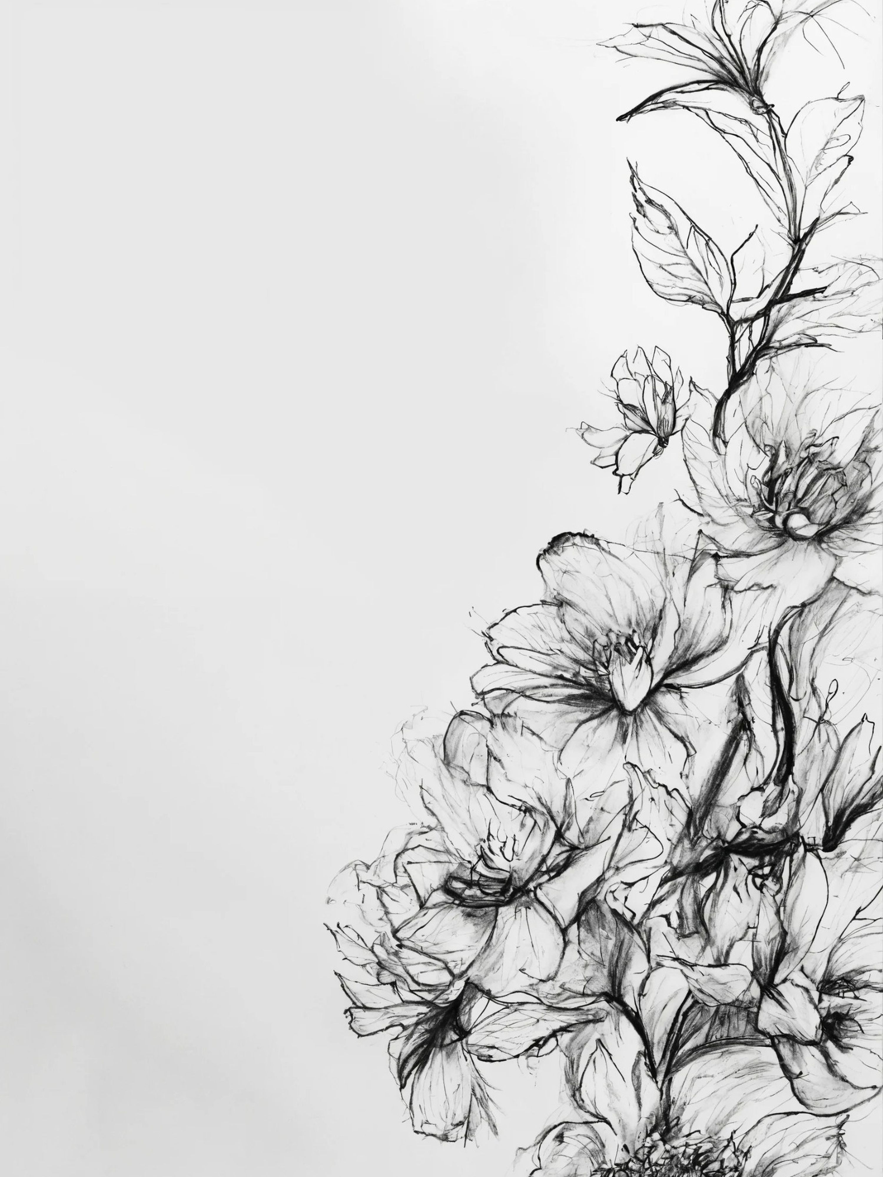 Esquisse florale épurée — vue 4